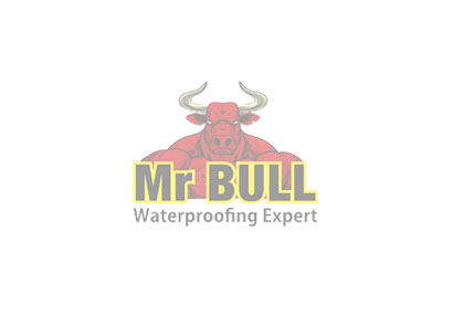 Mr Bull Skilled Waterproofer